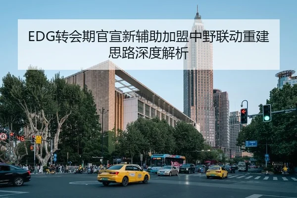 EDG转会期官宣新辅助加盟中野联动重建思路深度解析